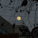 목동동로1길 | 26년_1월.zip