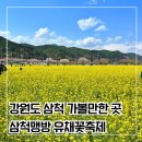 강원도 삼척 맹방 유채꽃축제 방문 후기 (체험부스 푸드트럭 주차)