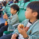 포천종합운동장 축구장 네이버블로그