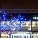 춤대공연 이미지