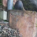 청도여관 이미지