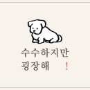 수수하지만굉장해 이미지
