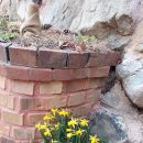 남해궁펜션 이미지