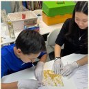 킹스학원 이미지