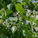 칠보중학교 이미지