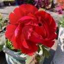 예스메디칼 이미지