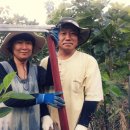 시일농장 이미지