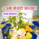 플레로세 네이버블로그