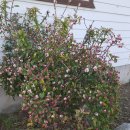 전길농장 이미지