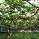 광록농장 이미지