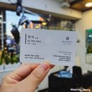이대 미용실 헤드스파 전문 에코레비헤어 이대점, 프리미엄 딥 스케일링 및 레이어드 커트 후기