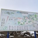 군산 가볼만한곳 가창오리 군무 볼 수 있는 나포십자뜰철새관찰소