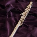 플룻 (고급) 이미지