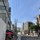 딜라잇펫 이미지