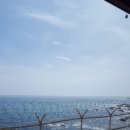 ㈜타라고 | 부모님과 강릉여행 고고!!