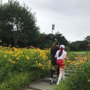 한탄강 컨트리클럽 | 한탄강cc,가을에 다시오고픈 한탄강컨트리클럽,주니어골프