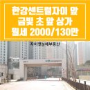 금빛초등학교 맞은편 네이버블로그