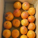 대섬알이랑 이미지