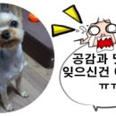 샤샤샥크린 이미지