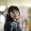 플라스틱 신화들 네이버블로그