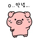 한대감상황족발 이미지