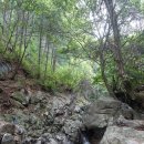 여주-0930 Daum카페
