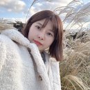 카멜리아 힐 이미지