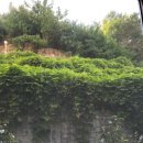 쌍용쉼터 | 울산방충망 업체 청량읍 쌍용하나빌리지 미세방충망시공으로 쾌적한 실내생활