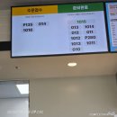 화원면사무소 | 2025년 7월 해남 꿈카 1박2일 후기(땅끝마을, 포레스트 수목원)