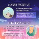 아리스타동물의료센터 이미지