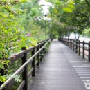 파주풀빌라 워라벨 호스텔 이미지