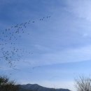 기러기 날아다니는 바우네! 그리고 끊어진 산하 김화 승리전망대 이미지