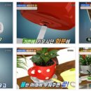 화분들닷컴 이미지