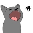 프랭크버거제주월정점