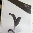 미소다실 이미지