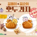 꿈돌이 이미지