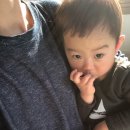 한림동물병원 이미지