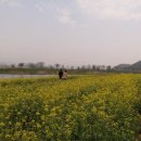 황룡강변2 이미지