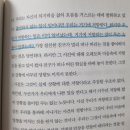 평화라이팅