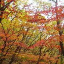 도봉산경로당