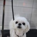 견사무소 호텔 유치원 이미지