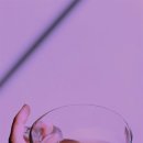 다원솔루션 이미지