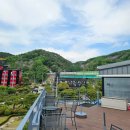 베이커리 시어터 | 북한강뷰 카페 작약꽃 활짝 &#34;베이커리시어터&#34;는 꽃축제중