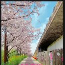 [HD]Instagram(인스타그램) 마케팅 제대로 배우기 | 인계동 컴퓨터학원 국비지원 수익화 가능한 SNS 마케팅 배우기