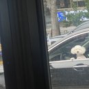 진양안경 | 느려도 괜찮아 멈추지 않는다면