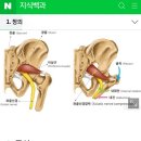 호암한방병원 이미지