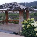 유구읍사무소 이미지