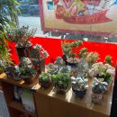 청주본가 (파주적성점) 이미지