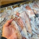 9월 30일(금)목포는항구다 생선카페 판매생선[ "추천" 한치(소), 꼬마한치 / 병어(40미), 장어(대), 통치, 민어 ] 이미지