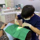 옥천군보건소 이미지